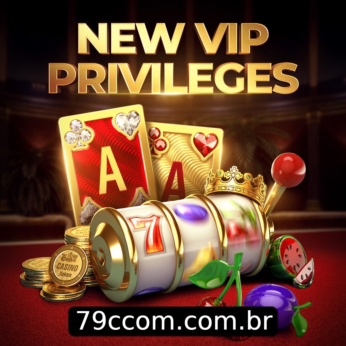 Programa VIP 79c